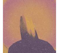 What Came from Silence – CD – PELAGIC