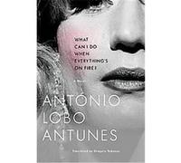 What Can I Do When Everything's on Fire? Antonio Lobo Antunes (Auteur)