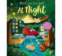 What Can You See At Night?