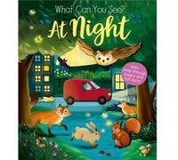 What Can You See At Night by Kate Ware Kate Ware (Auteur)