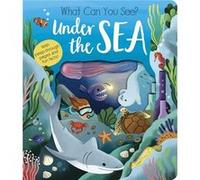 What Can You See Under the Sea by Molly Littleboy Molly Littleboy (Auteur)