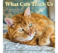 What Cats Teach Us 2026 7 X 7 Mini Wall Calendar