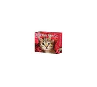What Cats Teach Us 2026 Box Calendar