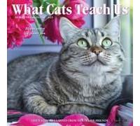 What Cats Teach Us 2026 Mini Wall Calendar