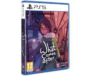 What Comes After PS5
