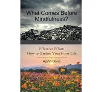 What Comes Before Mindfulness?: Right Effort and the Buddhist Path to Enlightenment