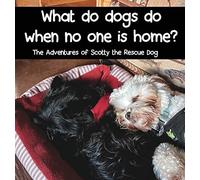 What Do Dogs Do When No One Is Home?