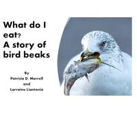 What do I eat? A story of bird beaks