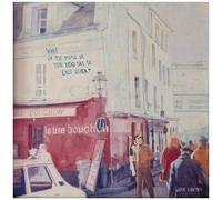 Josh Kaufman – What Do The People In Your Head Say To Each Other? – Vinyle LP (The Orchard)
