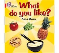 What do you like by Anna Owen Collins Big Cat (Auteur)