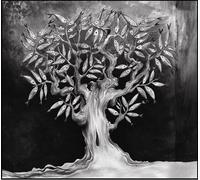 WHAT DOES A FISH THINK ABOUT WATER?