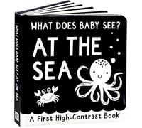 What Does Baby See?: At The Sea
