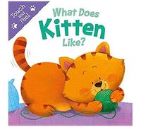 What Does Kitten Like?