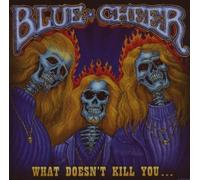What Doesn't Kill You ?