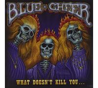 What Doesn't Kill You by Blue Cheer (2007) Audio CD