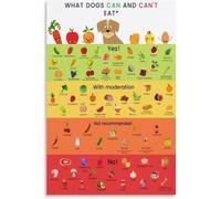 What Dogs Can and Cannot Eat Food Safety Guide Poster Canvas for Bedroom Living Room Pet Decor(Framed,08x12inch(20x30cm))