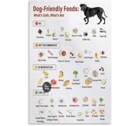 What Dogs Can and Cannot Eat Poster Canine Nutrition Guide Home Decor(Unframed,16x24inch(40x60cm))