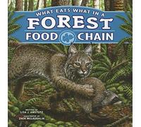 What Eats What In A Forest Food Chain