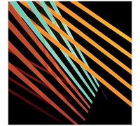 What Follows [Vinyl]