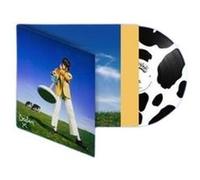 WHAT HAPPENED TO THE BEACH. (PICTURE DISC)