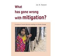 What has gone wrong with mitigation?: A review of the recent decision-making on climate change
