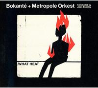 Bokanté & Metropole Orkest & Jules Buckley – What Heat – CD – Realworld