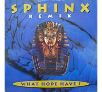 What Hope Have I [12 inch] [Import Anglais]