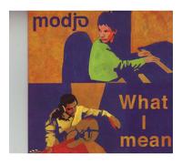 What I Mean