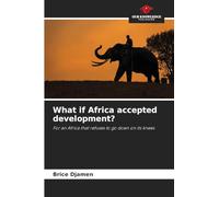 What if Africa accepted development?