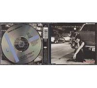 What If God Fell from The Sky (3 Tracks, 1994) [Import]