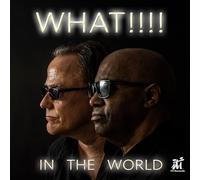 ITI Industriale - WHAT!!!! - in The World - Import