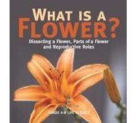 What Is A Flower? Dissecting A Flower, Parts Of A Flower And Reproductive Roles Grade 6-8 Life Science