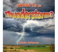 WHAT IS A THUNDERSTORM - address book - D31z