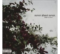 What Is Love? by Never Shout Never (2010-01-26)