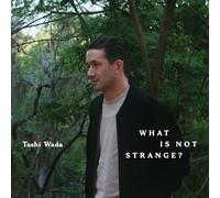 What Is Not Strange - Vinyle 33 Tours