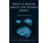 What Is Special About The Human Brain?