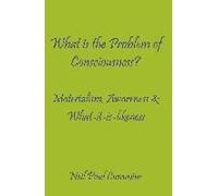 What Is The Problem Of Consciousness?