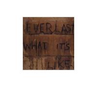 Everlast – What's It Like