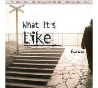 What It's Like by Envision (1999-04-13)
