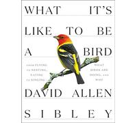 What It's Like to Be a Bird: From Flying to Nesting, Eating to Singing--What Birds Are Doing, and Why