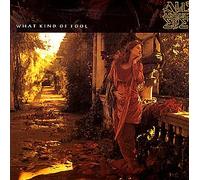 What Kind Of Fool [SINGLE] [IMPORT]
