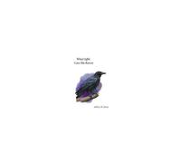 What Light Gave The Raven Paperback Book By Jeffery Azanon St. Rose