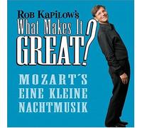 What Makes It : Mozart's Eine Kleine Nachtmus