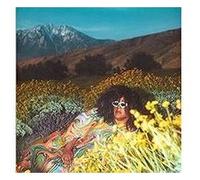 Brittany Howard – What Now – CD – Explicite
