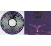 What on Earth - Whales/Whales