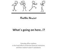 What´s going on here..!?: Everyday office madness in head offices of German financial institutions and their medium-sized IT subsidiaries