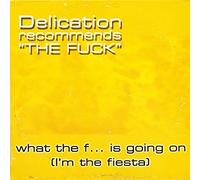 What The f. is Going on (4 Versions, INCL. Andre Basho Remix, 2001) [Import]