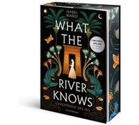 What the river knows | Isabel Ibañez Isabel Ibañez (Auteur)