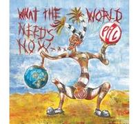 What the world needs now is love E