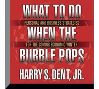 What to Do When the Bubble Pops: Personal and Business Strategies for the Coming Economic Winter